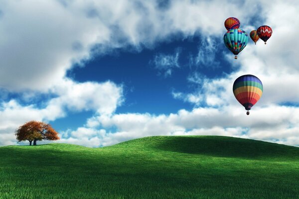 Balloons take off from a spacious field