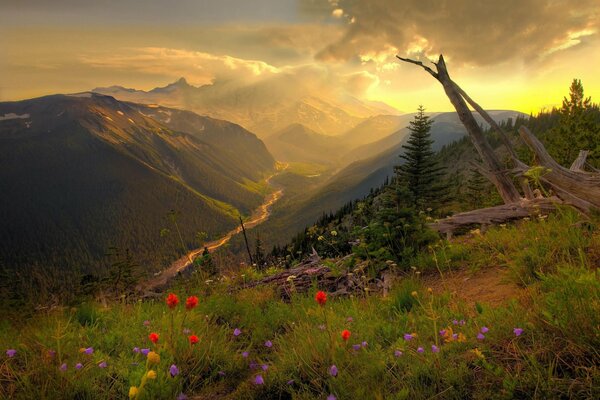 There is a river and grass in the mountains. The clouds