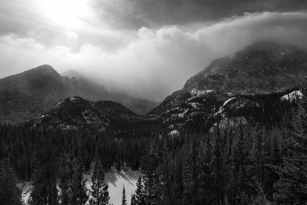 Montañas y bosques en blanco y negro bajo las nubes