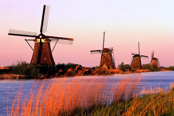 Molinos de viento en Holanda, hierba alta