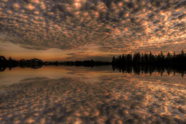 Reflexion von Bäumen und Wolken im See