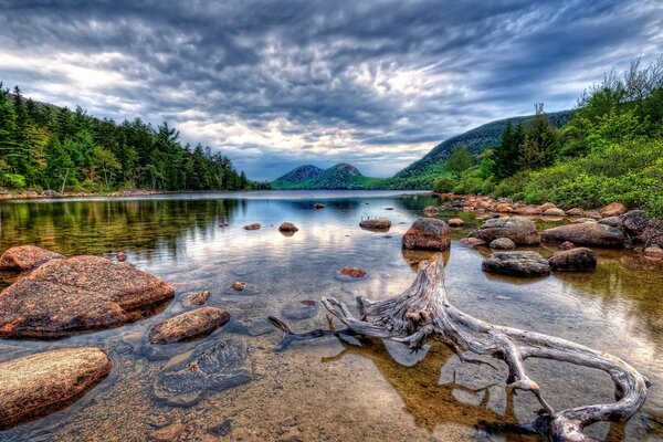 Bois flotté et des pierres dans le lac, sur les côtés de laquelle la forêt verte