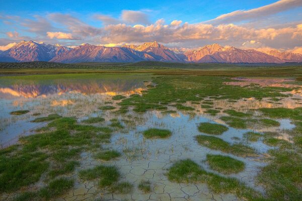 Swamps from the movie The Lord of the Rings