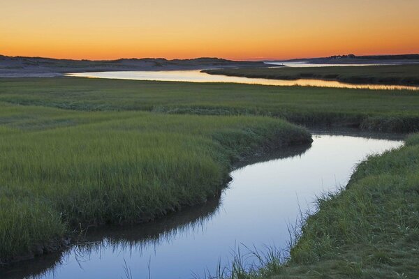 A river among greenery. dawn over the river