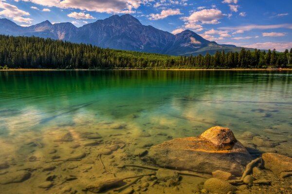 Lago circondato da boschi e cime montuose