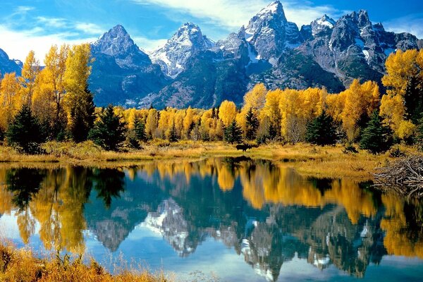 Lago en medio del bosque amarillo