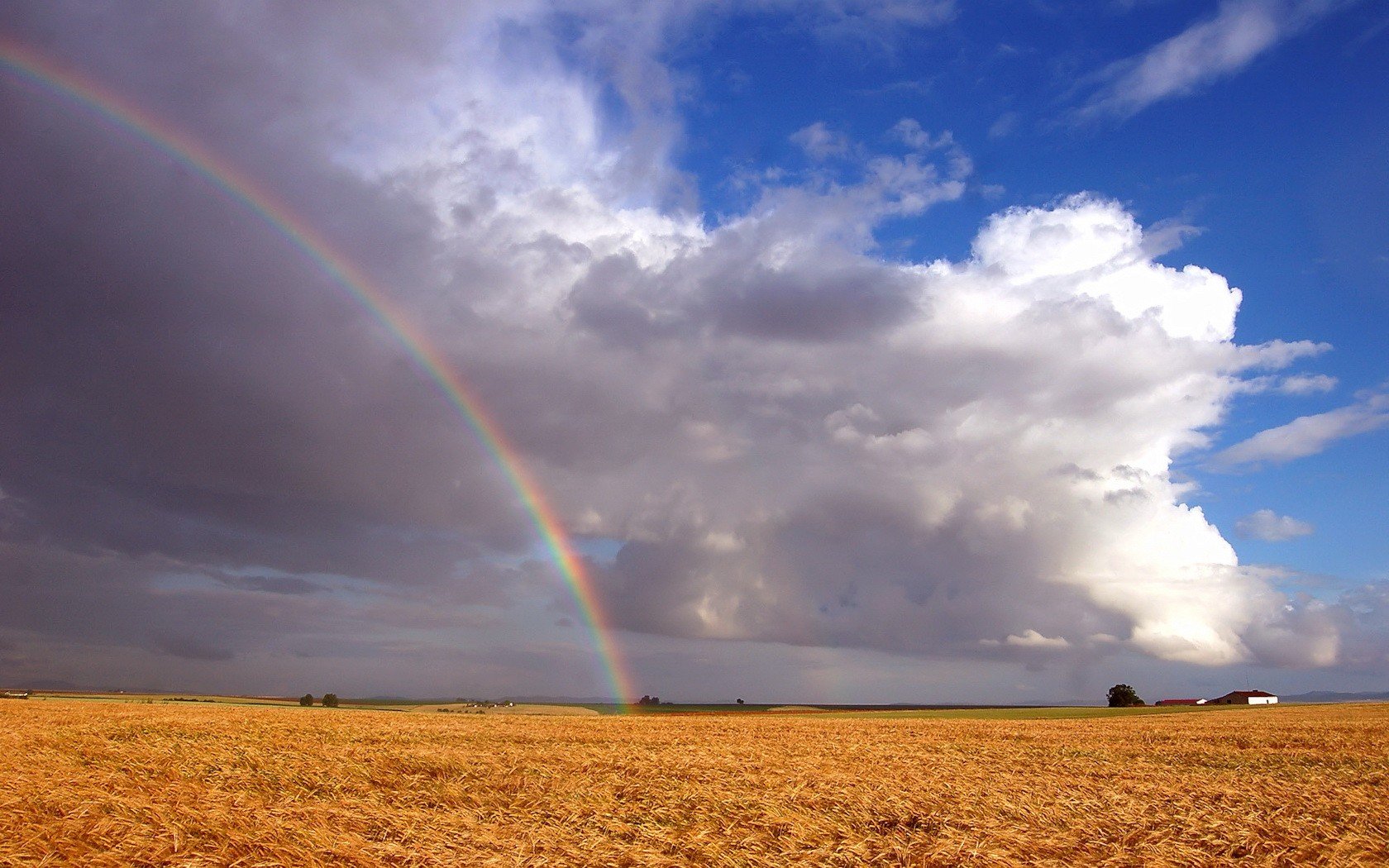 feld regenbogen wolken