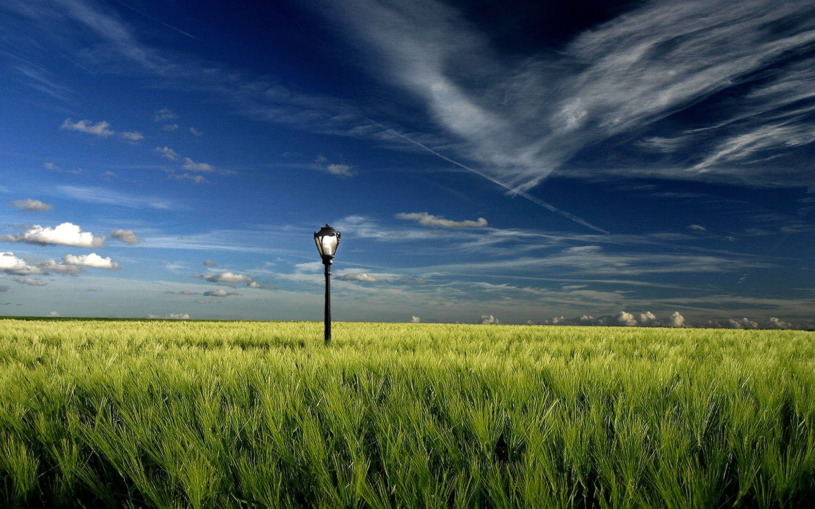 the field light cloud