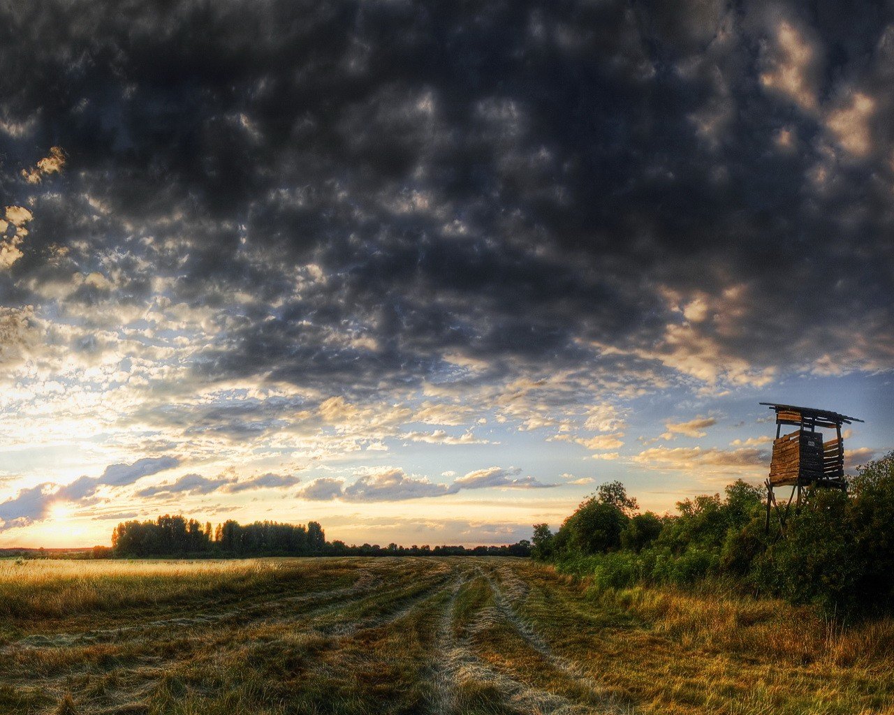 campo camino nubes torre