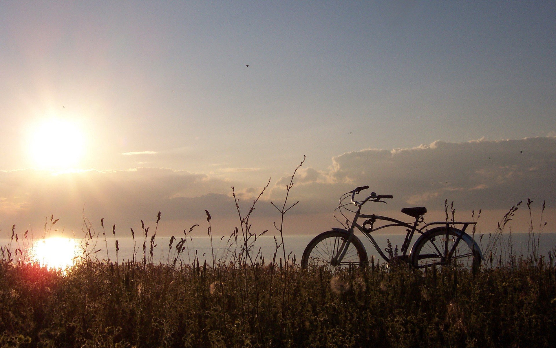 fahrrad sonne gras