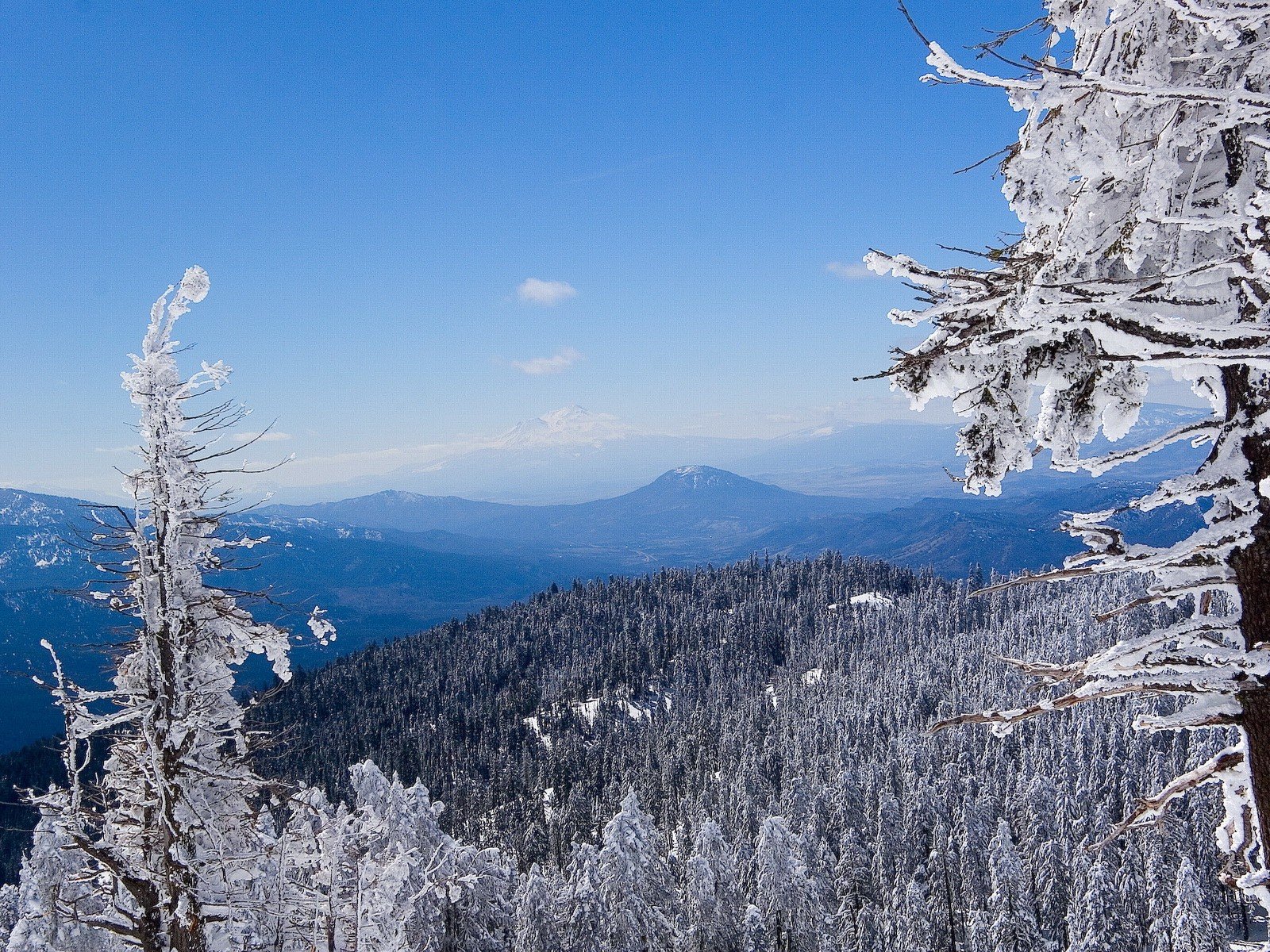 hiver forêt neige montagnes bleu blanc