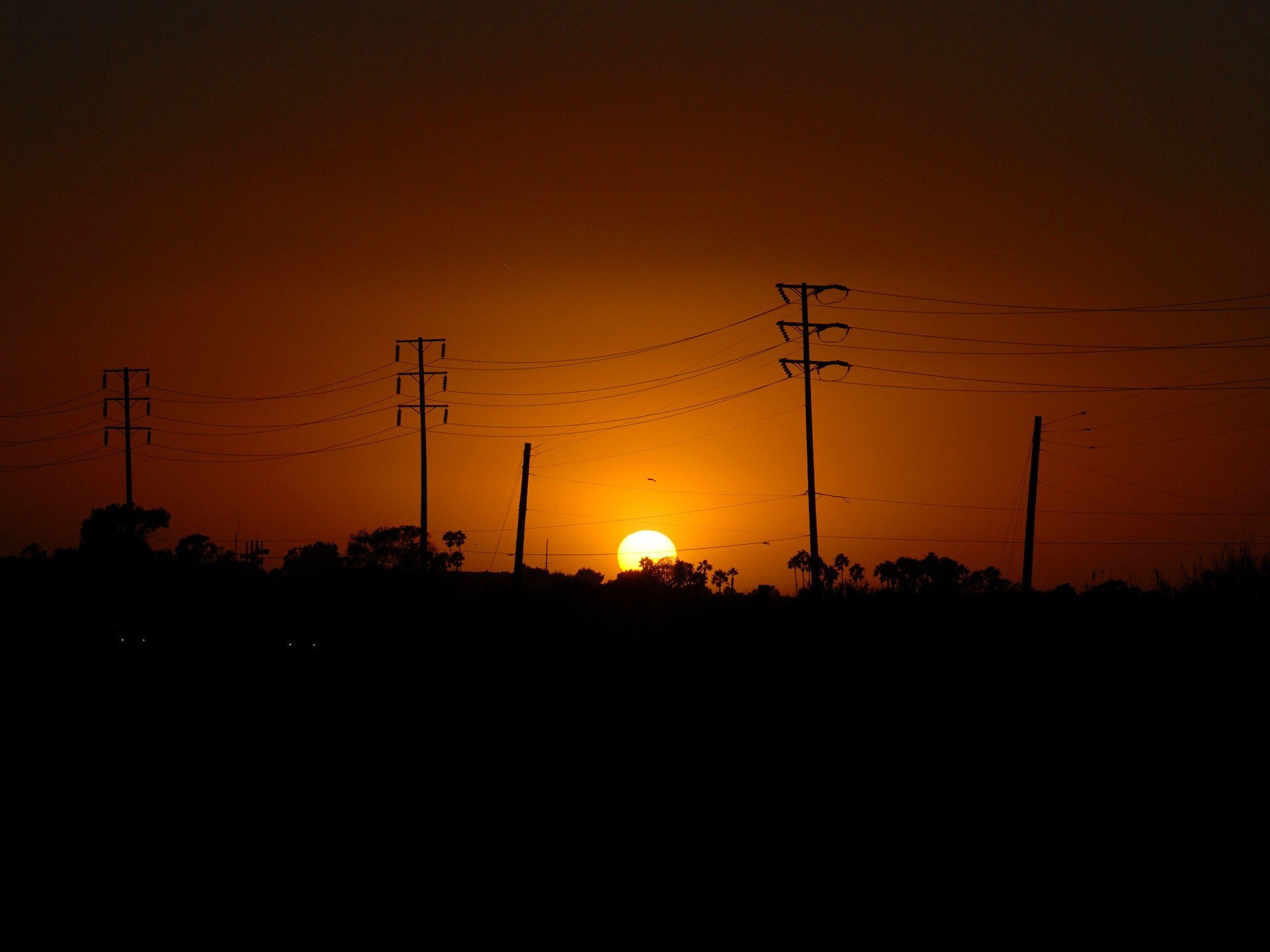 un wire pillars sunset