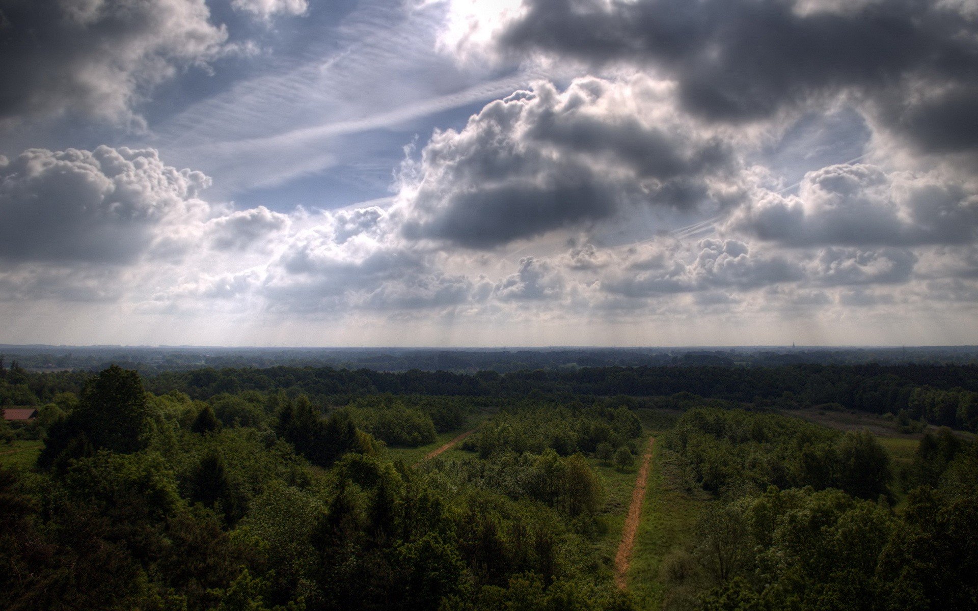 nubes árboles camino