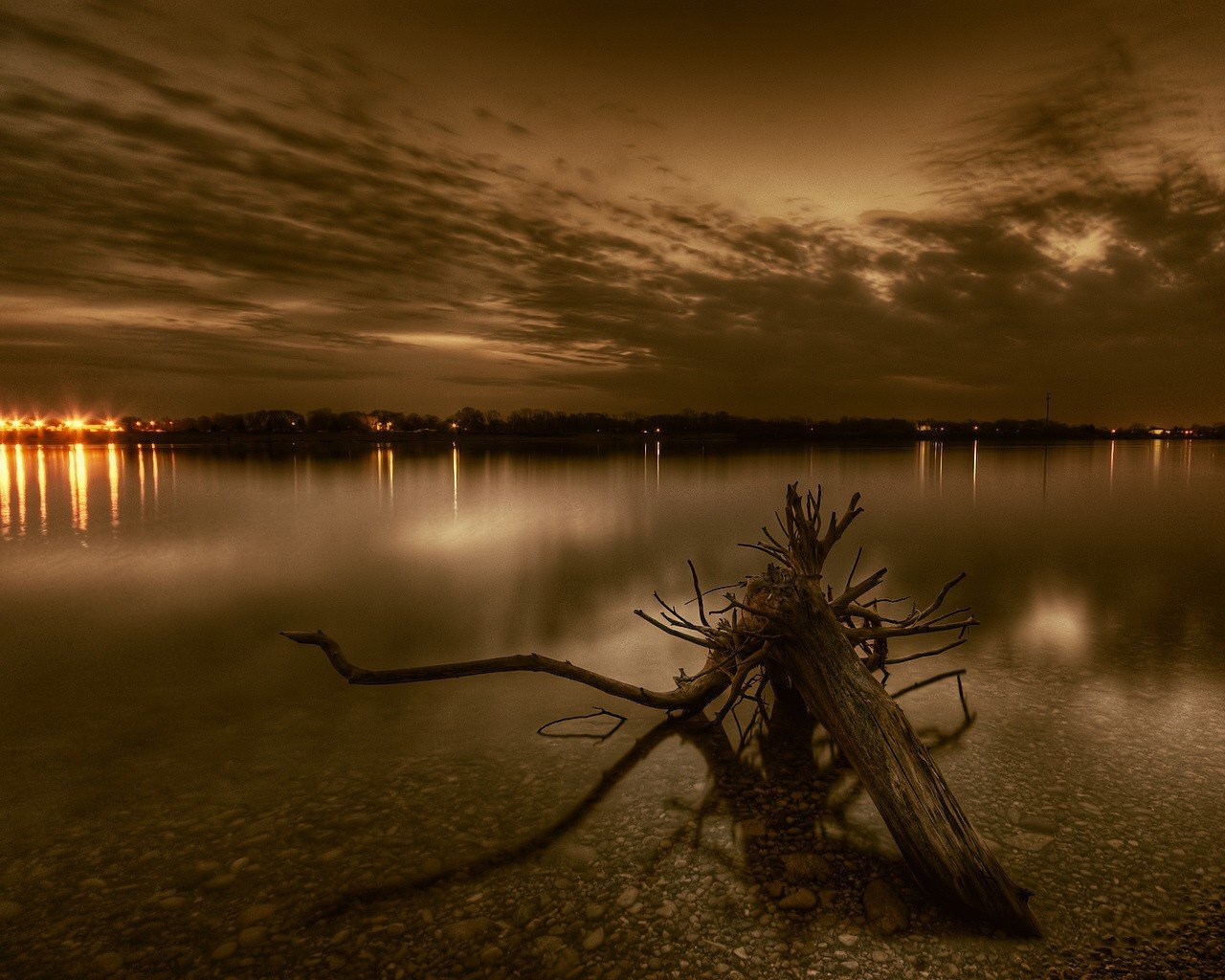 wurzel fluss abend lichter