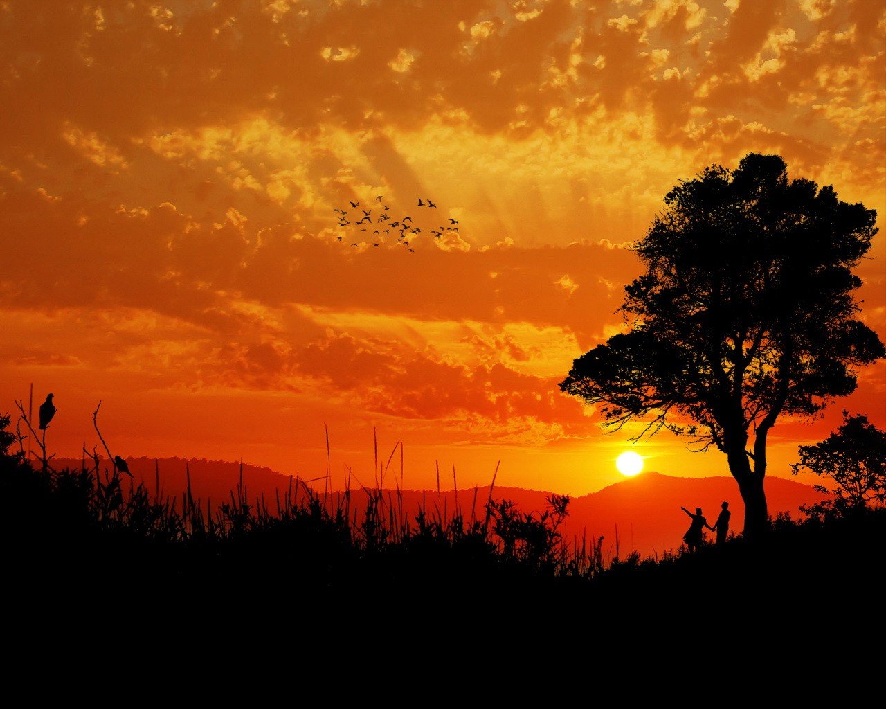 tramonto albero uccelli sole nuvole coppia