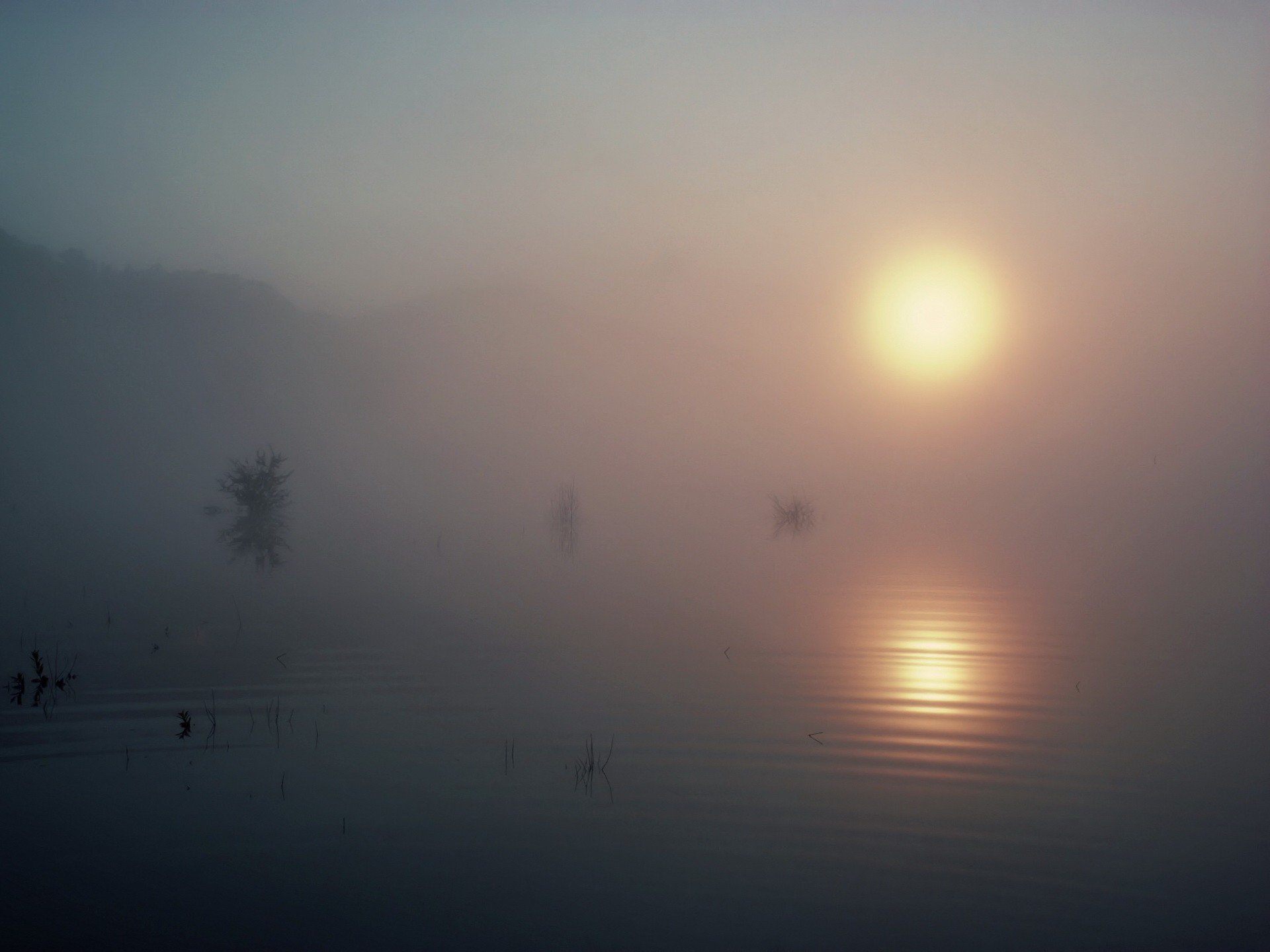 lake fog sun