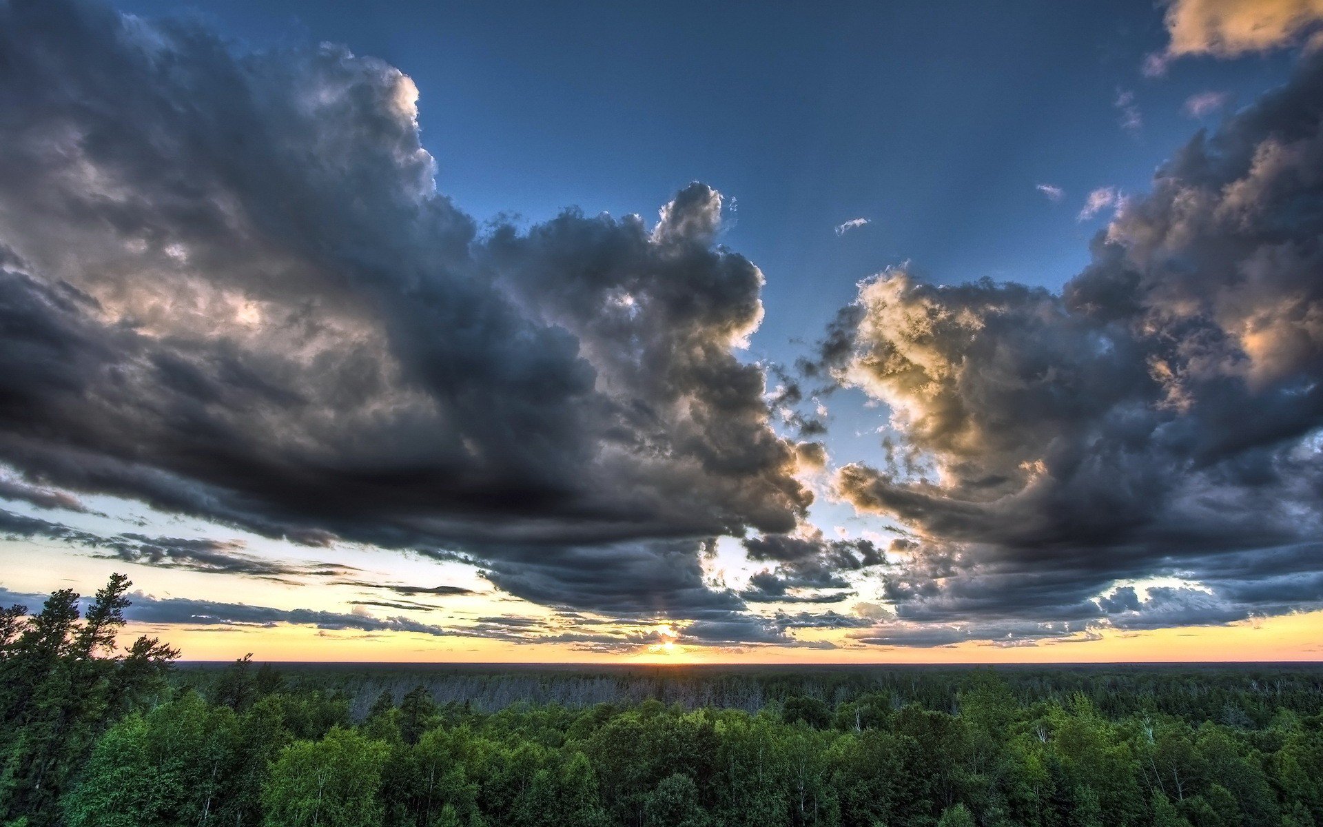 ky clouds forest