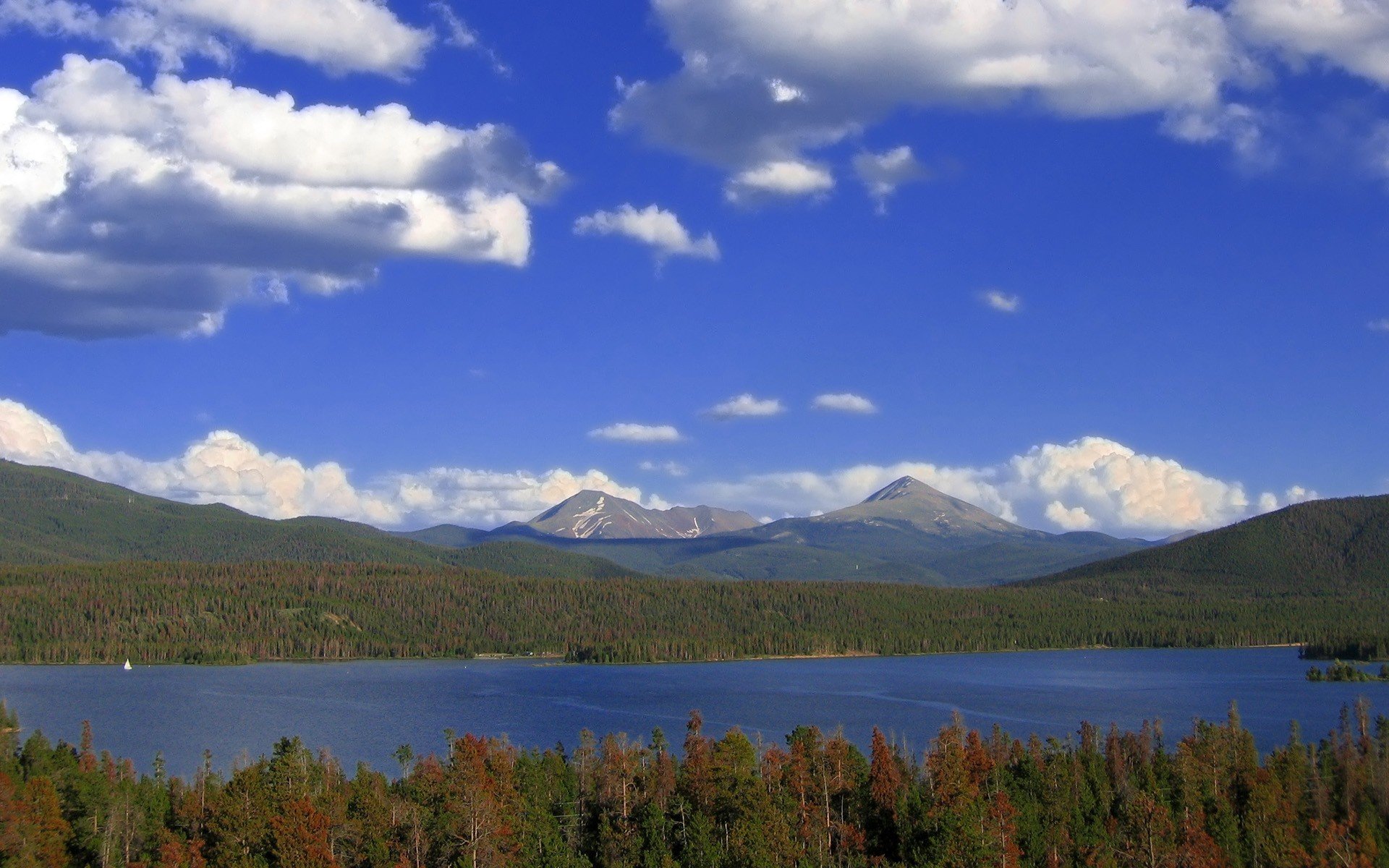 lake clouds tree forest