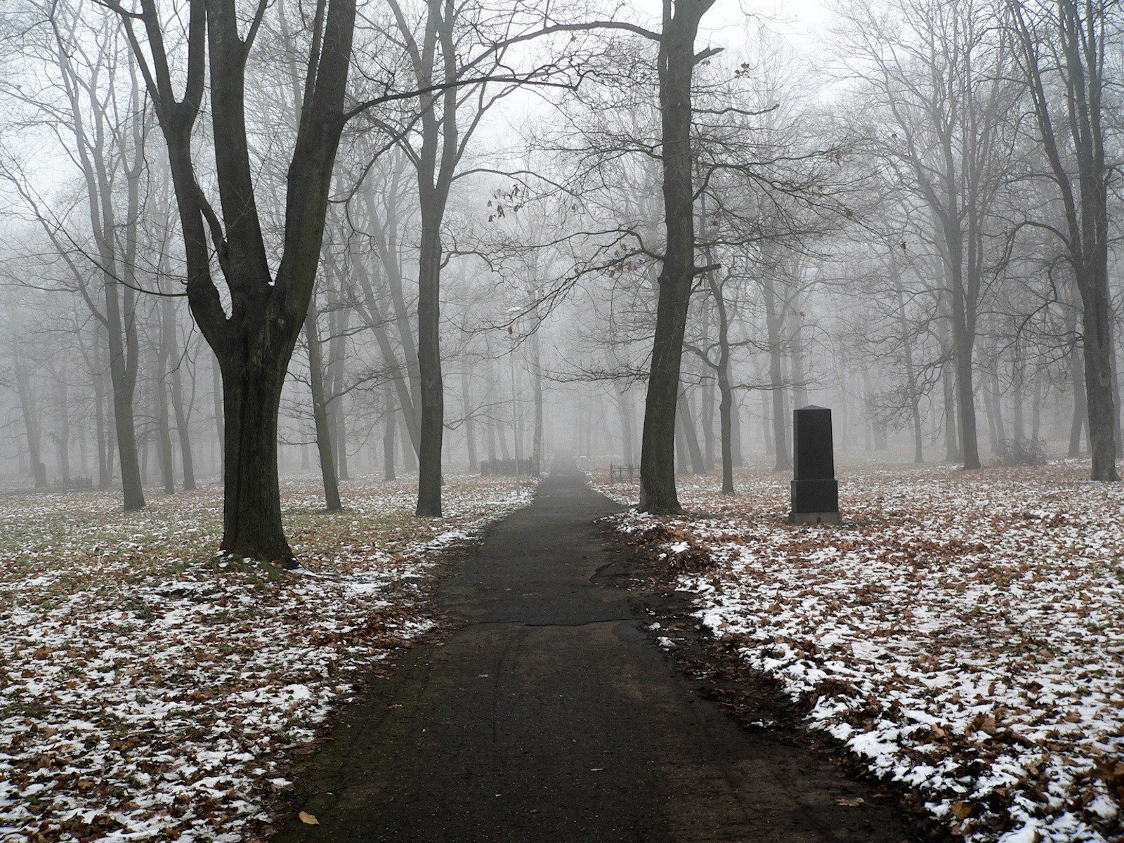 sendero monumento nieve árboles niebla otoño