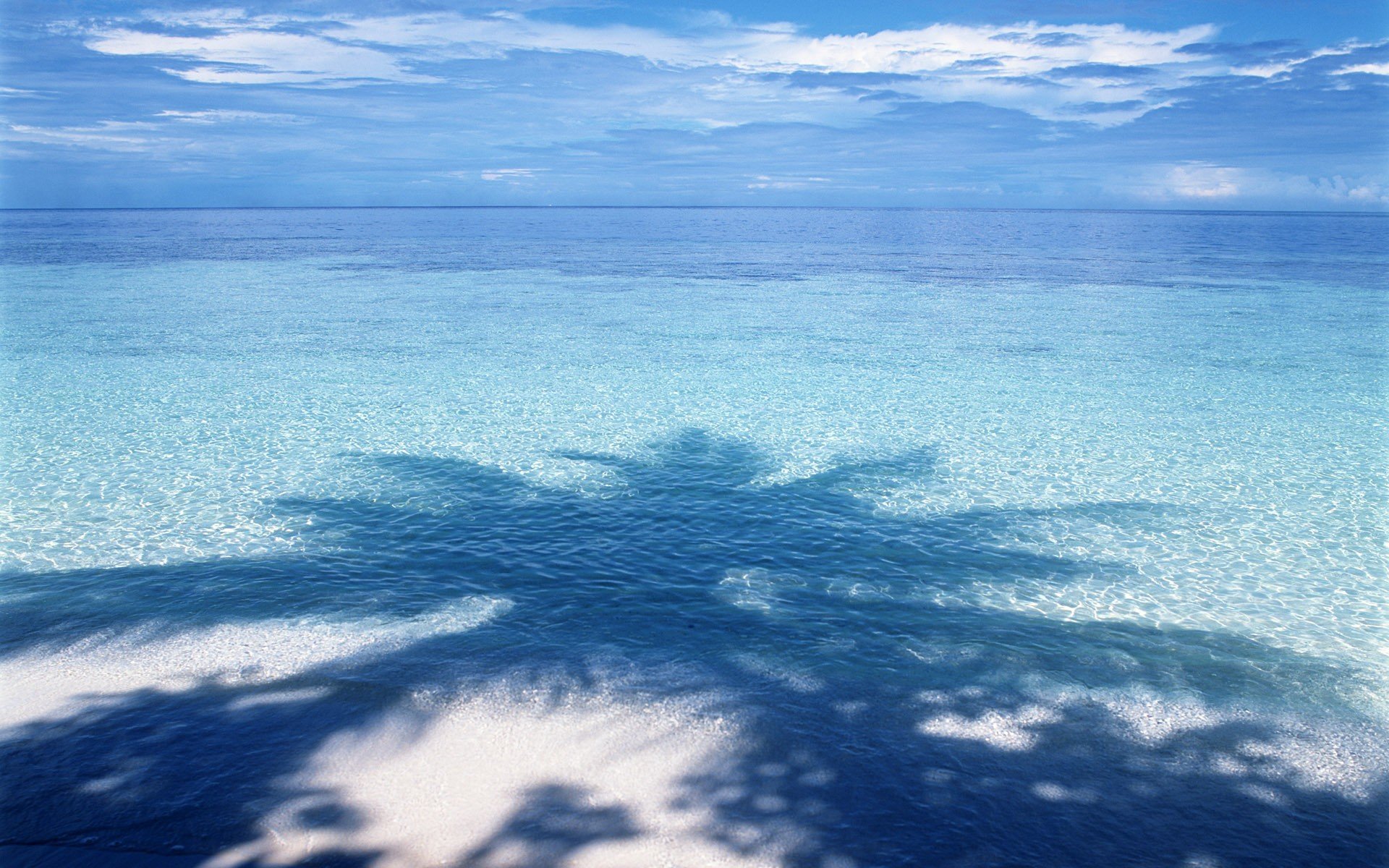 wasser schatten blau palme horizont