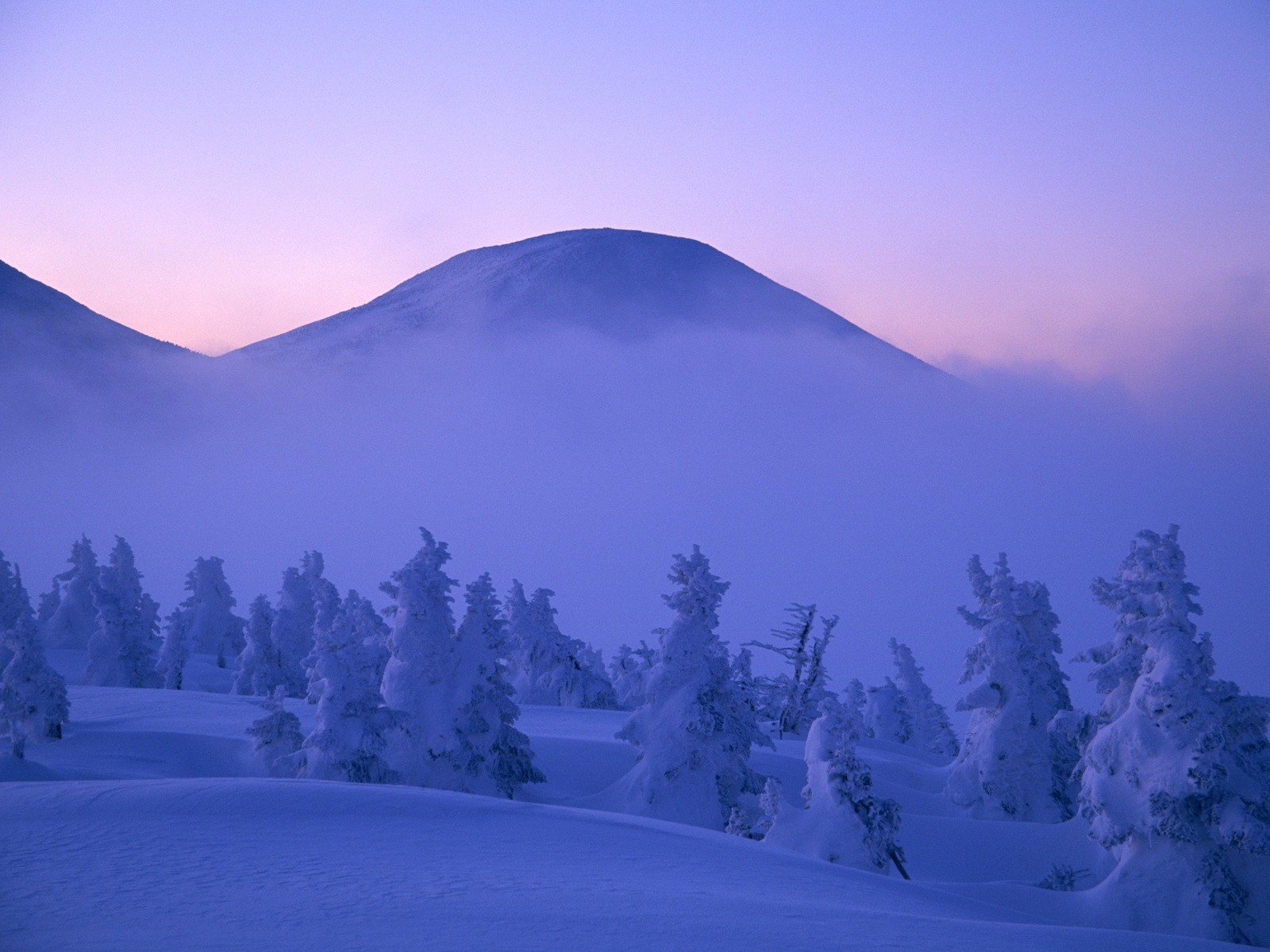 berge wolken nebel schnee winter bäume