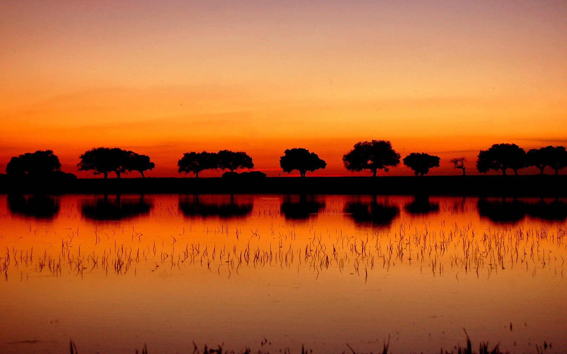 arbres coucher de soleil lac réflexion