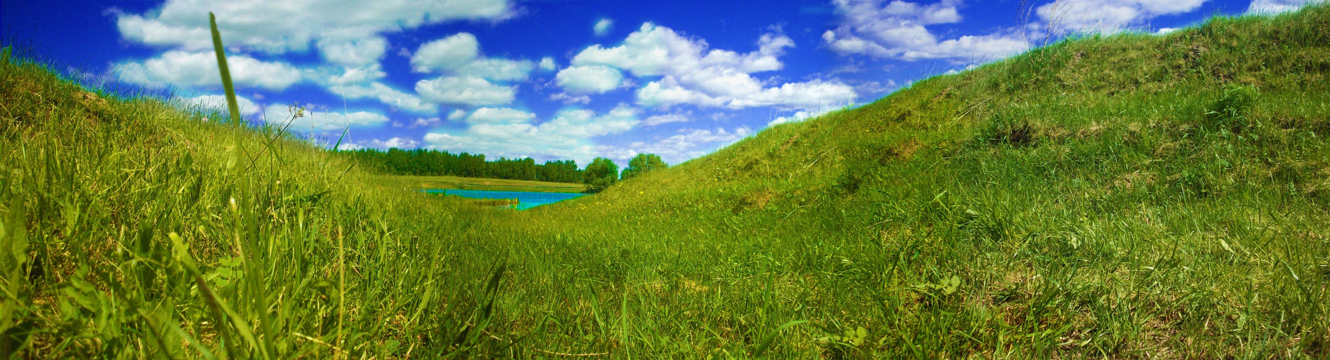 rivière ciel herbe papillon oiseaux été panorama