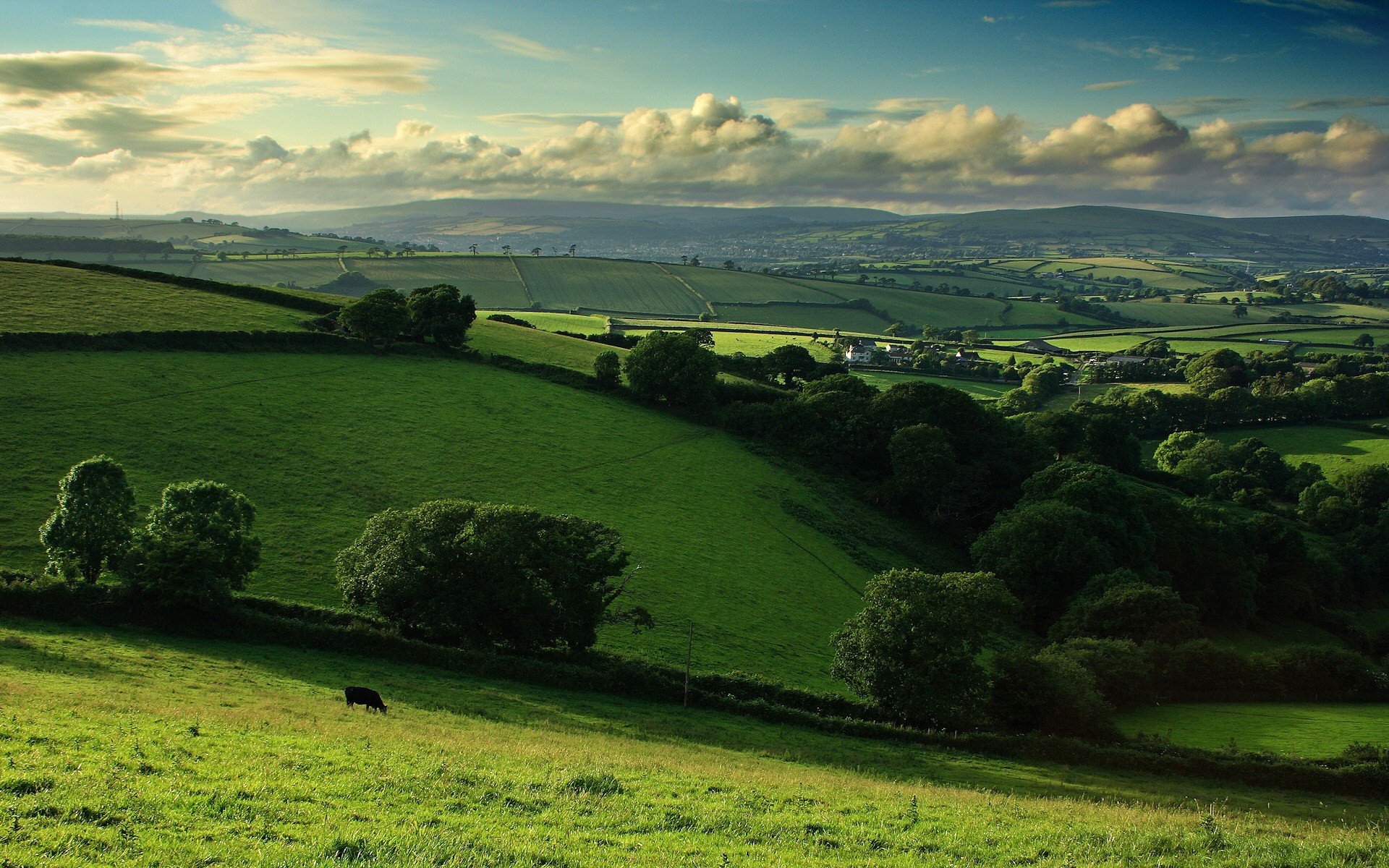 hills tree of the field cloud