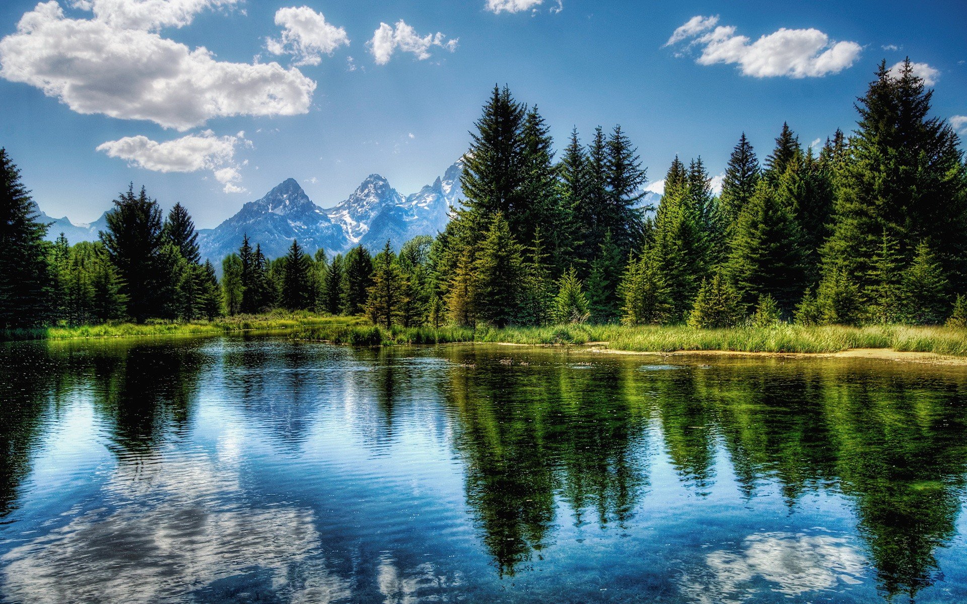 alberi lago riflessione nuvole cielo verde blu