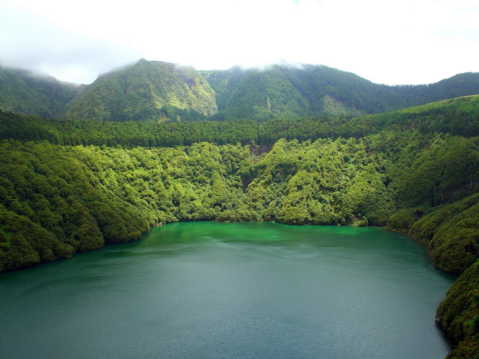 lago árboles montañas