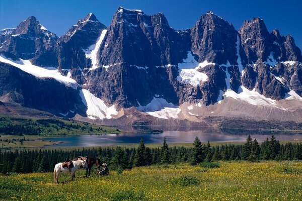 Prairies canadiennes sur fond de montagnes enneigées