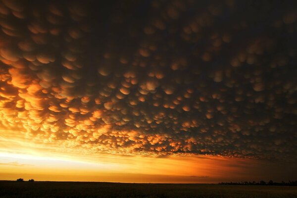 Nuages poreux au coucher du soleil dans le champ