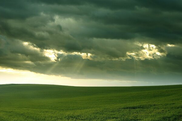 Ein grünes Feld unter einem Gewitterhimmel