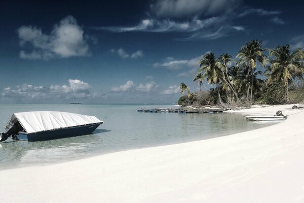 Boat on the shore with palm trees