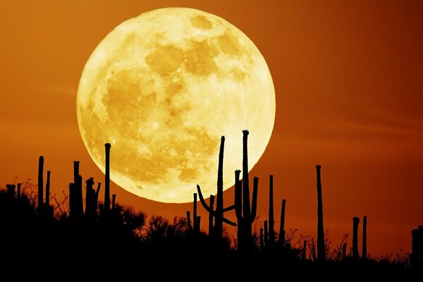 Enorme Luna en el fondo de las siluetas del paisaje del desierto