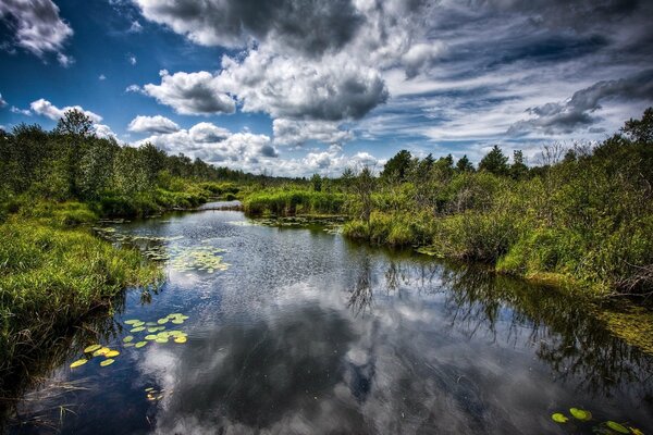 Unglaubliche Wolken und Bäume in Wasserreflexion