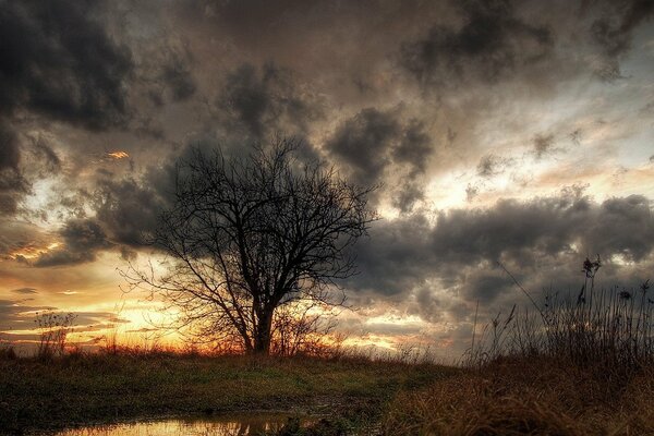 A quiet cloudy evening. Mud