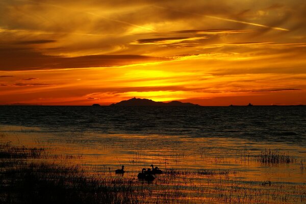 Tramonto rosso. Anatre sul lago