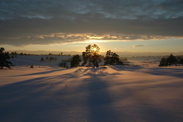 Coucher de soleil, étendues de neige d hiver