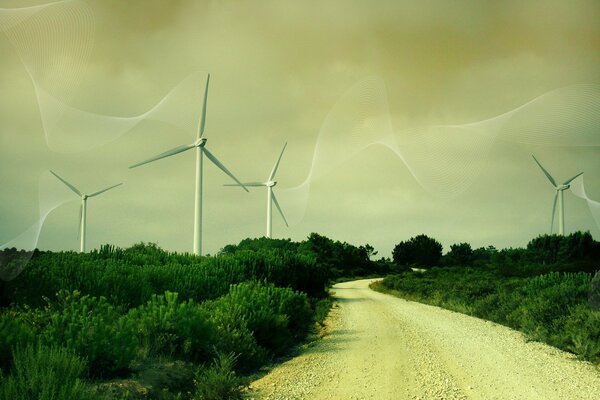 Wind turbines along the road in summer