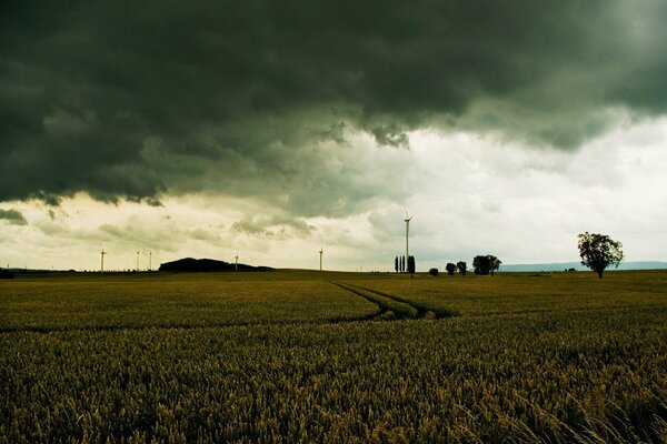 Straße in einem düsteren Feld, Gewitterwolken am Himmel