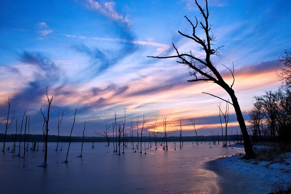 Frozen lake with trees at sunset