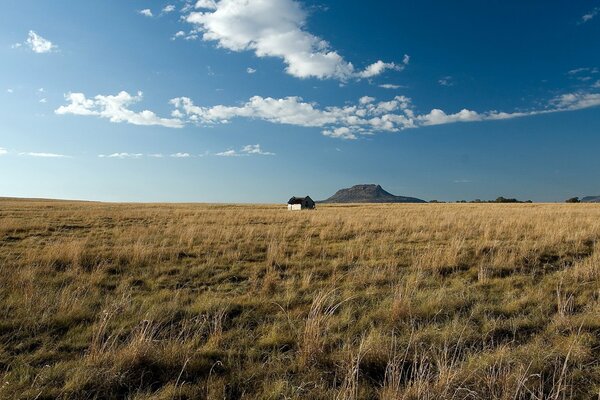 Il parco sulla collina mostra nuvole e case