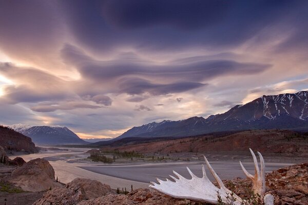 Horns on the bank of a mountain river