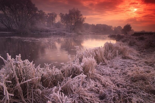 Rime on the riverbank with sunset view