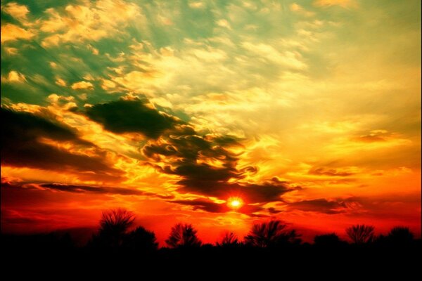 Bloody sunset over the black forest