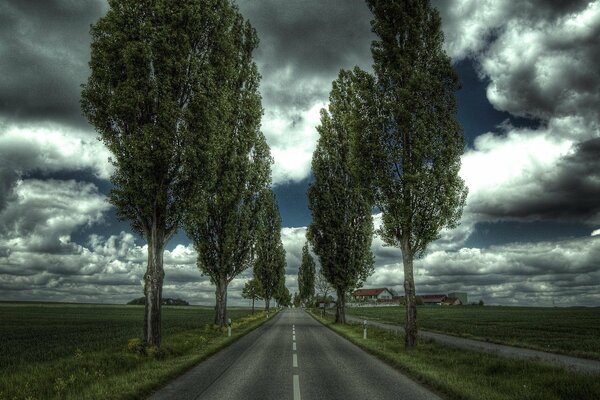 Asphaltstraße zwischen Feldern mit Bäumen am Straßenrand und gewitterdunkelem Himmel