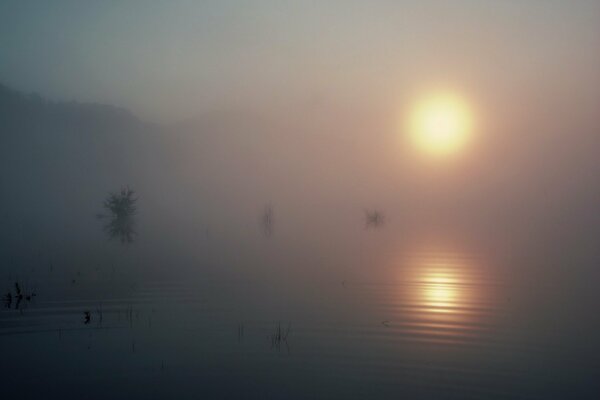 The sun is reflected in the lake, which is shrouded in fog