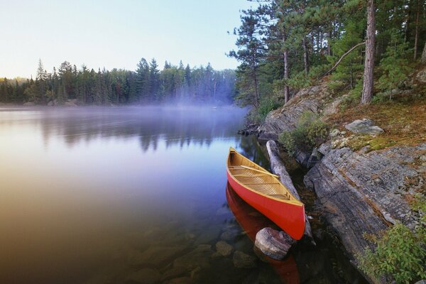 View from a canoe near the forest and lake