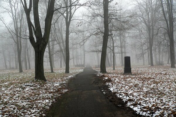 Asphaltweg im Winterpark